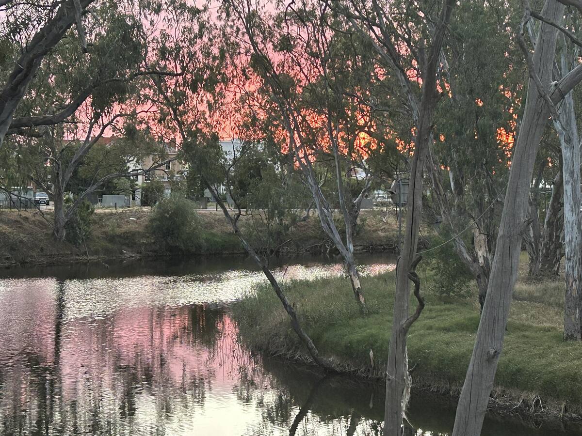 Sunset reflected in the still Avoca River